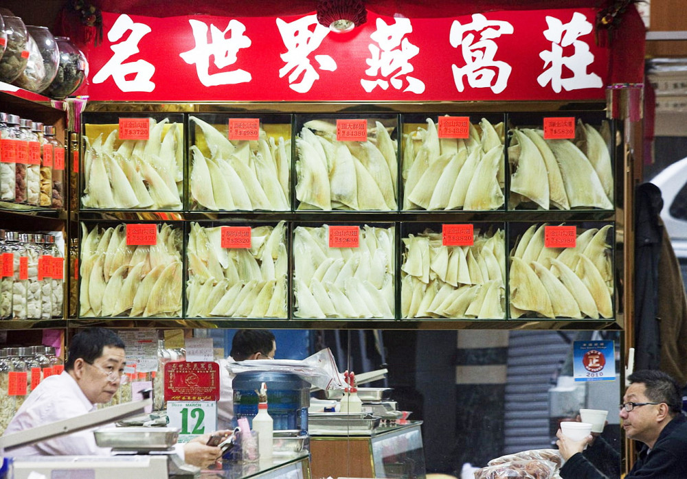 Vi cá mập được trưng bày trong các tủ kính tại một cửa hàng ở Hồng Kông Ảnh: EPA