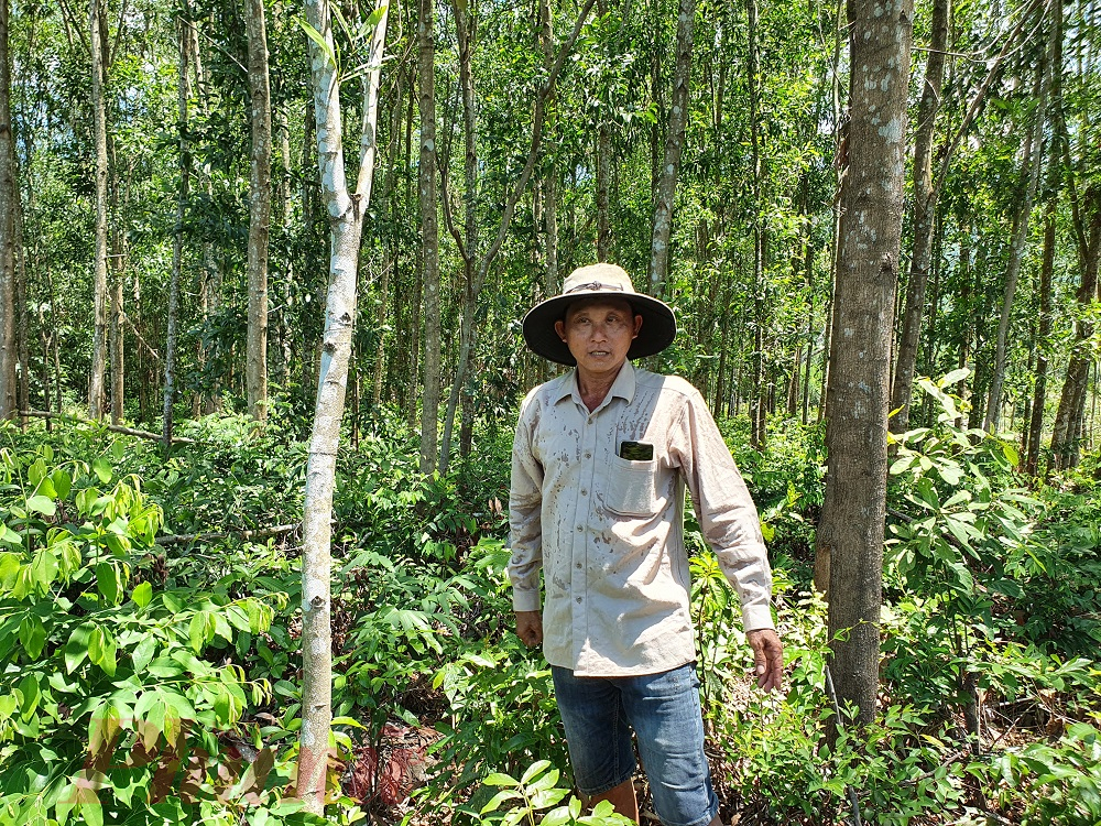 Ông Thật chỉ vị trí đất đang tranh chấp và khẳng định rằng đây là mảnh đất mà ông và cha khai hoang, trồng keo