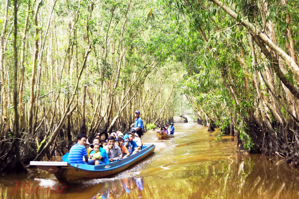 Mùa nước nổi tại ĐBSCL không còn đều đặn như trước