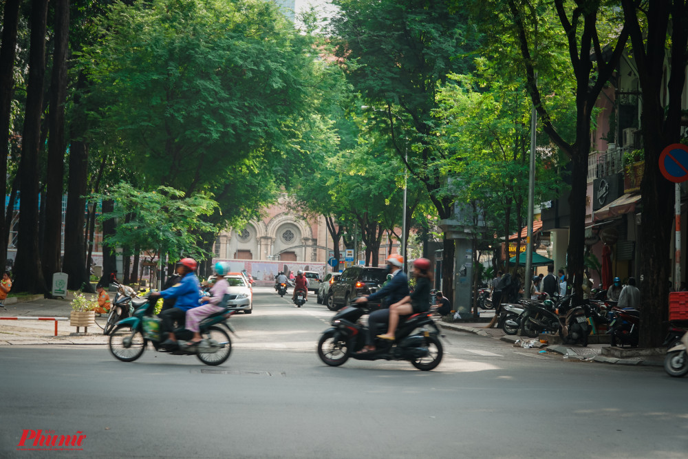 Đường Hàn Thuyên rợp bóng cây xanh. Ảnh:Tam Nguyên