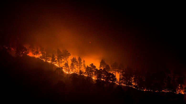 Những cánh rừng chìm trong biển lửa do khí hậu ấm lên bất thường kéo theo những lo ngại về việc 