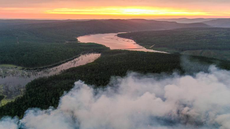 Khói bay mù mịt từ đám cháy rừng ở Krasnoyarsk và lan ra nhiều cánh rừng xung quanh. 