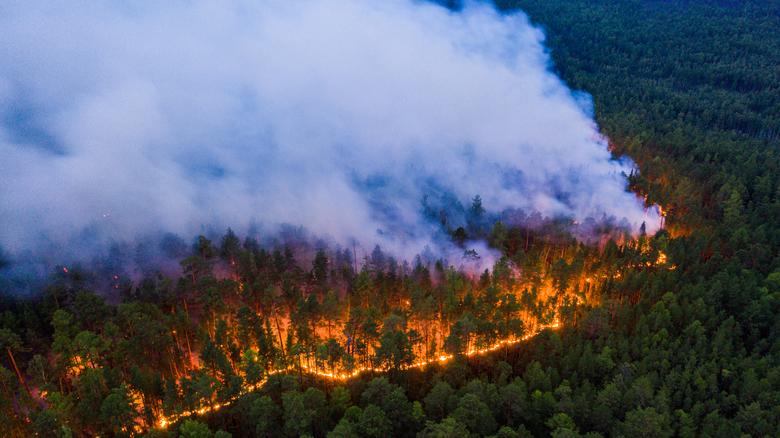 Cháy rừng kéo dài ở Yakutla khiến chính quyền địa phương chính quyền địa phương phải tuyên bố tình trạng khẩn cấp ở hai thành phố Krasnoyarsk và Irkutsk