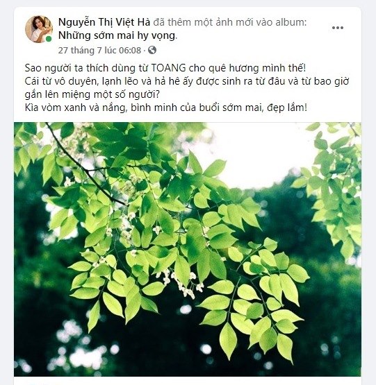 Nhà thơ Nguyễn Thị Việt Hà bức xúc lên tiếng. Ảnh chụp màn hình facebook nhân vật.