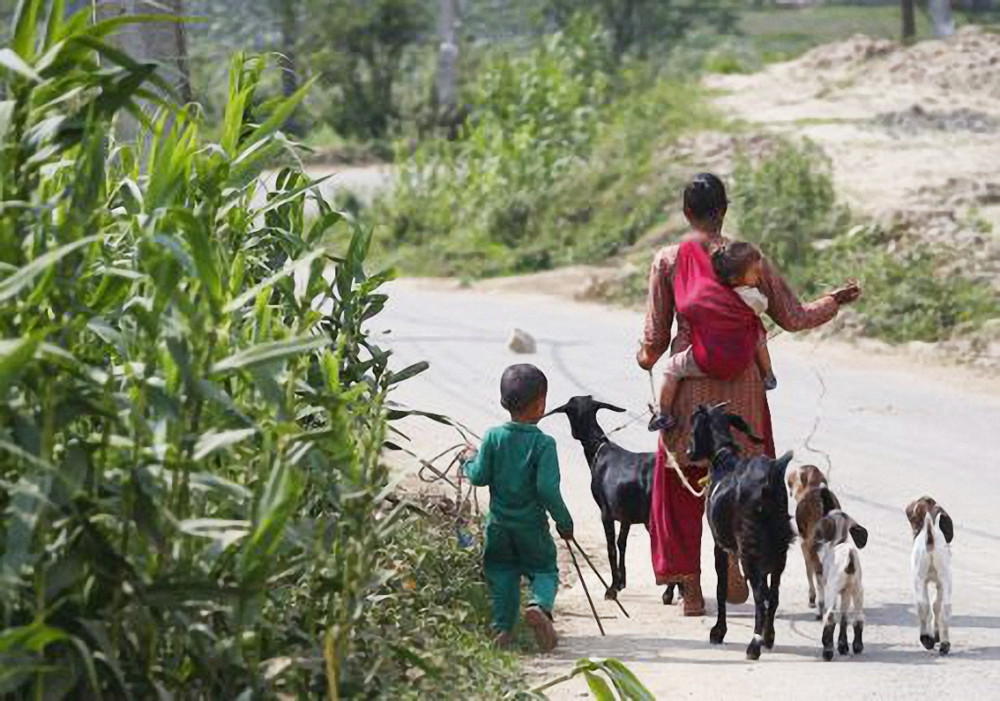 Áp lực chăm sóc gia đình, thất nghiệp đè nặng lên vai phụ nữ Nepal trong dịch COVID-19