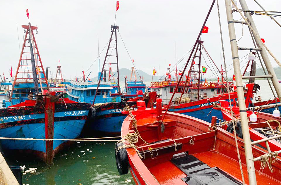 Gần 3.500 tàu thuyền ở Nghệ An đã được kêu gọi vào nơi tránh bão an toàn