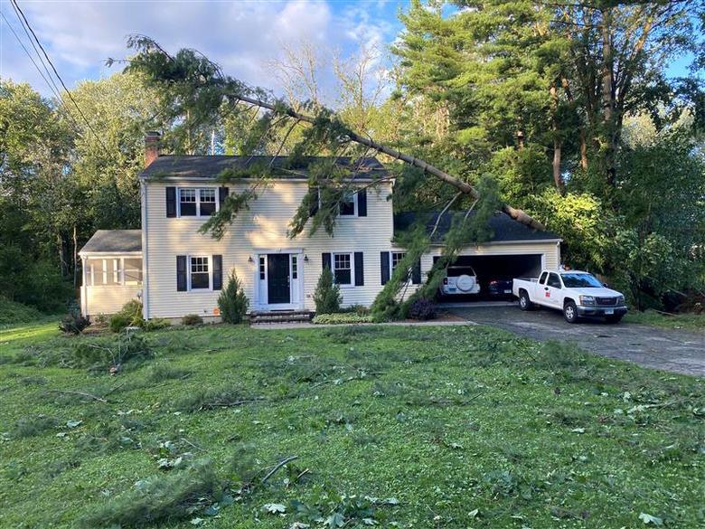 Cây cối gãy, ngã tơi tả trong khuôn viên một căn nhà ở Newtown, Connecticut.