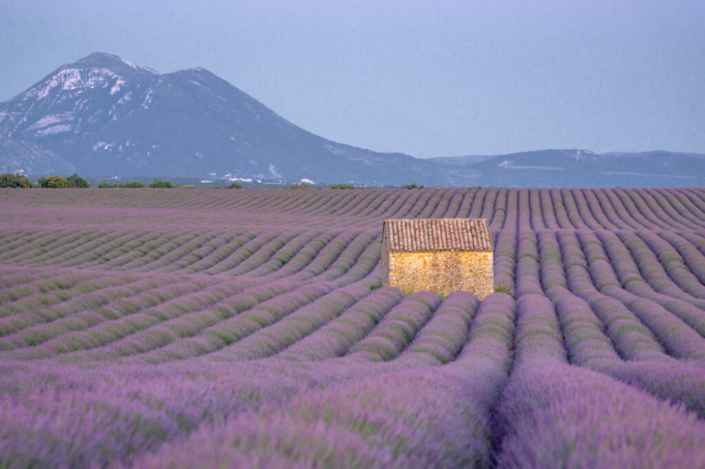Vùng Provence 