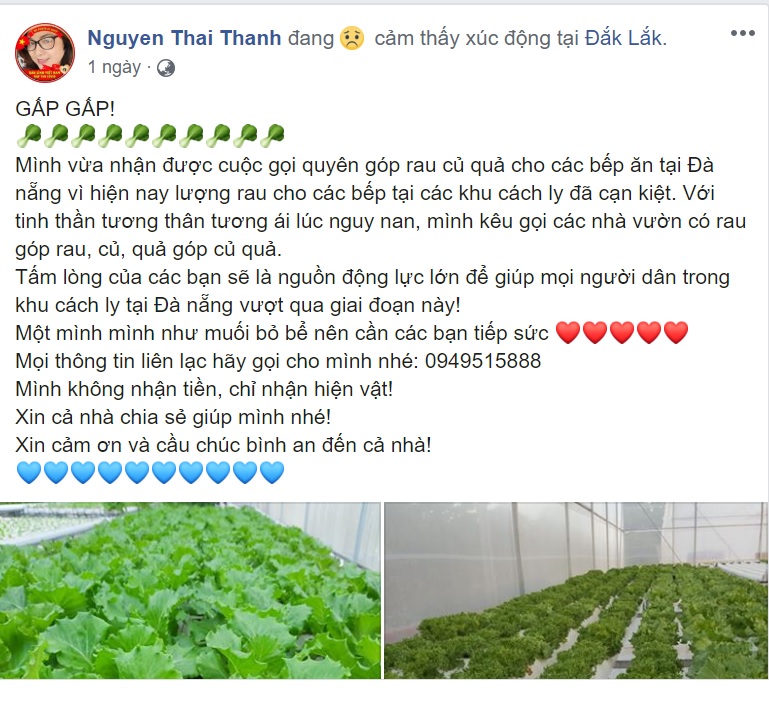 Nội dung kêu gọi quyên góp rau mà chị Thanh đăng trên facebook