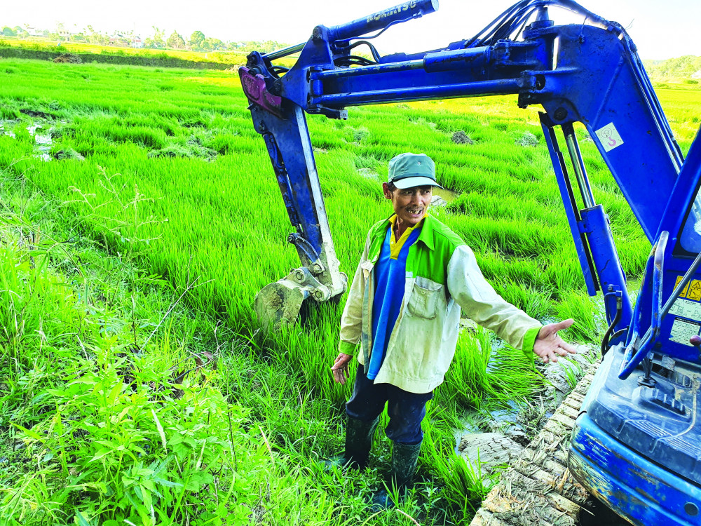 Ông Lê Minh Tâm xót xa bên ruộng lúa bị càn không thương tiếc