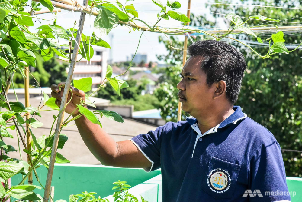 Ko Saw tìm thấy niềm vui khi học được nghề trồng rau trong khu vườn trên sân thượng MWRN - Ảnh: Jack Board