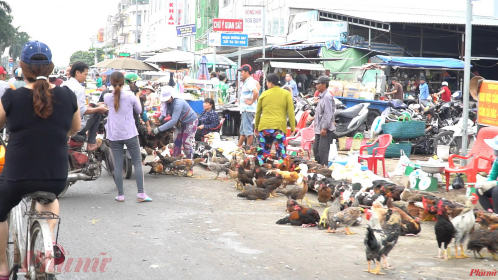 Đường Quản Trọng Linh “độc đạo” dẫn vào chợ đầu mối Bình Điền luôn trong tình trạng bị chợ tự phát chiếm dụng, hàng hóa được bày lấn ra giữa lòng đường - Ảnh: Tam Nguyên