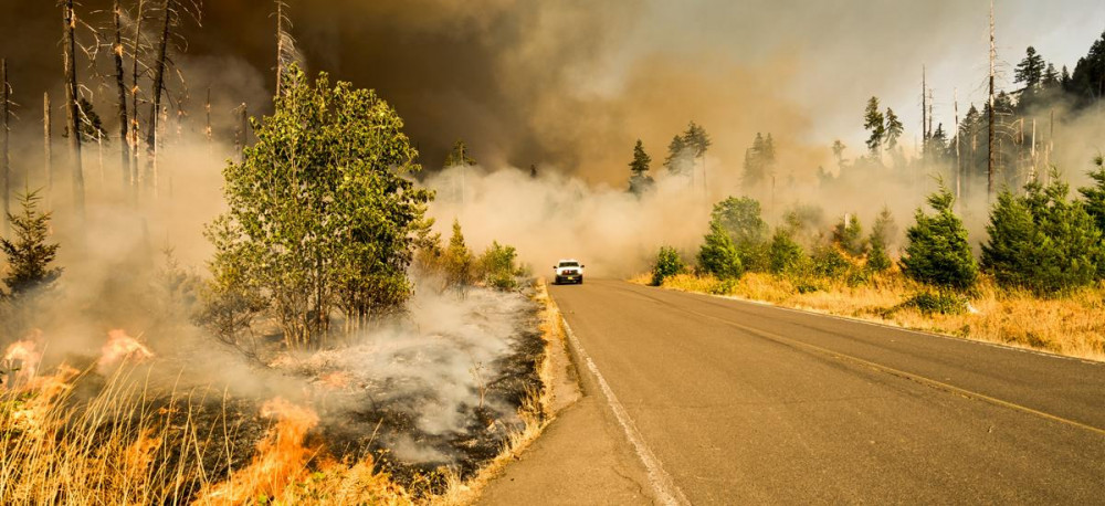 Tình trạng ấm lên toàn cầu là một trong những nguyên  nhân gây ra các đợt cháy rừng trên diện rộng - Ảnh: ucsusa