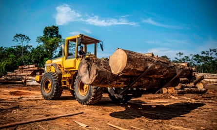 Một xưởng cưa ở vùng Madre de Dios của Peru thuộc rừng nhiệt đới Amazon. 