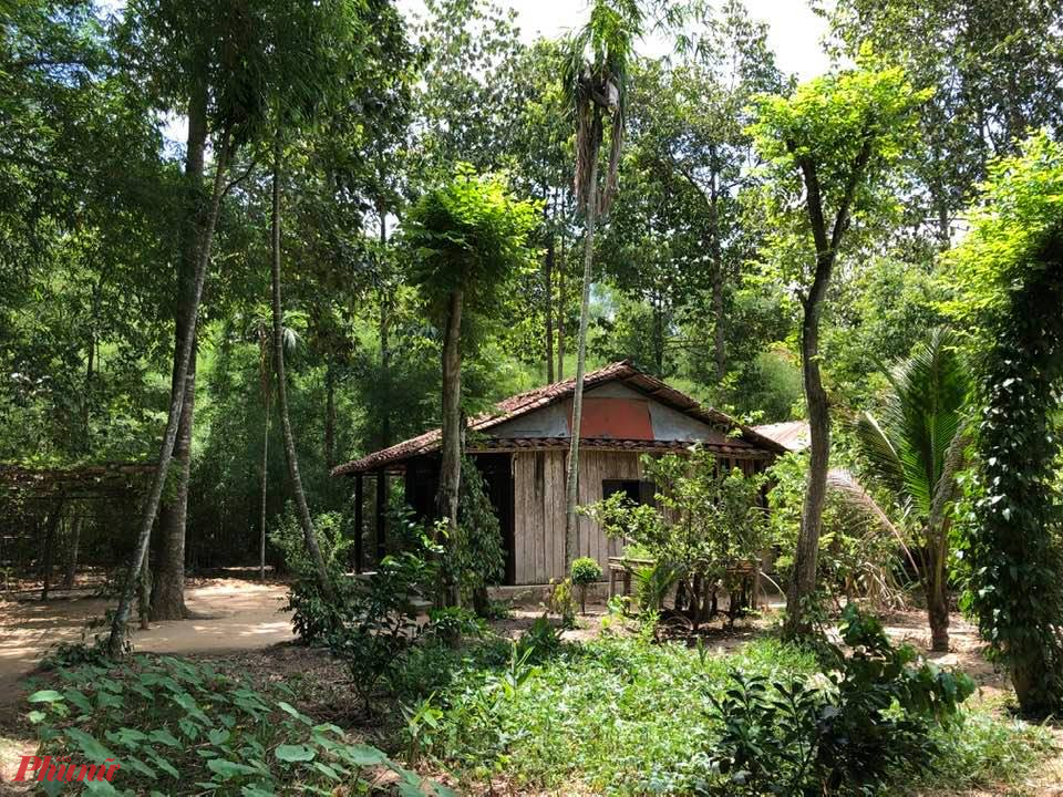 Một nếp nhà gỗ mái ngói xưa giữa không gian xanh mướt của một Làng quê ngoại ô với những ngõ trúc.