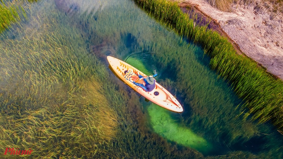 Mọi người tha hồ bơi thuyền kayak