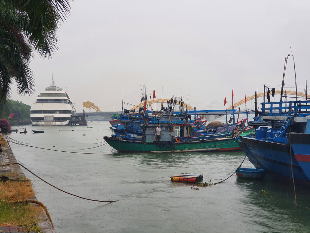 Từ sáng nay, hàng trăm tàu thuyền đã vào cảng cá Thọ Quang và hai bên sông Hàn để neo đậu tránh trú bão