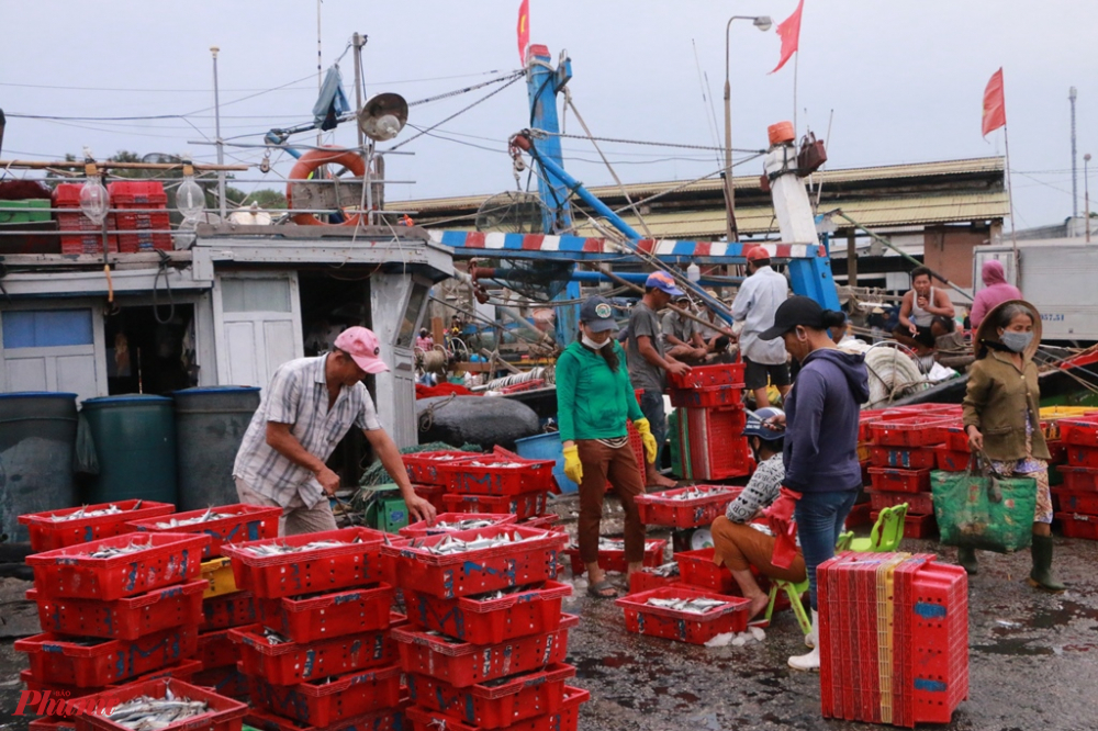  Càng về trưa không khsi trên cảng cả Thuận An (huyện Phú Vang, Thừa Thiên- Huế) càng tấp nập