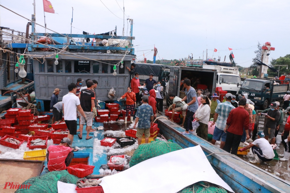 Có mặt tại cảng cá Thuận An vào trưa 17/9 phóng viên báo Phụ Nữ TP.HCM nhận thấy cảng cá  khá nhộn nhịp