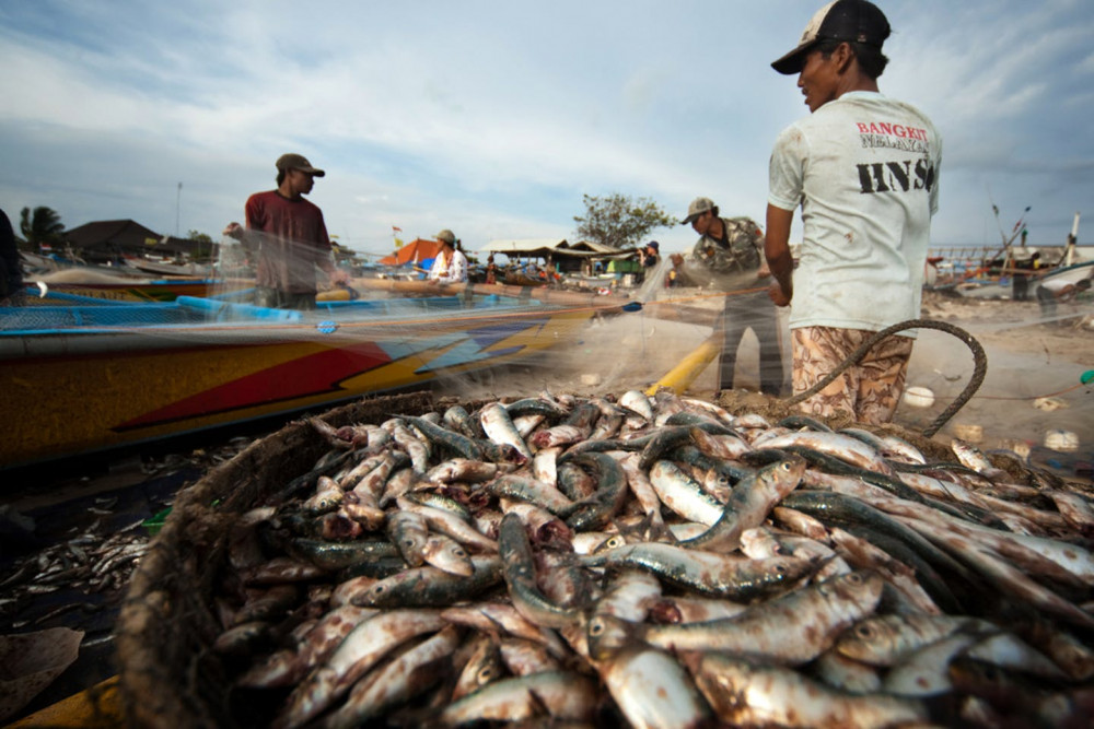 Tình trạng đánh bắt cá trái phép đang gây ảnh hưởng nghiêm trọng đến nguồn lợi thủy sản cũng như quyền lợi của ngư dân đánh bắt cá hợp pháp - Ảnh: CHEN WS/Shutterstock.com