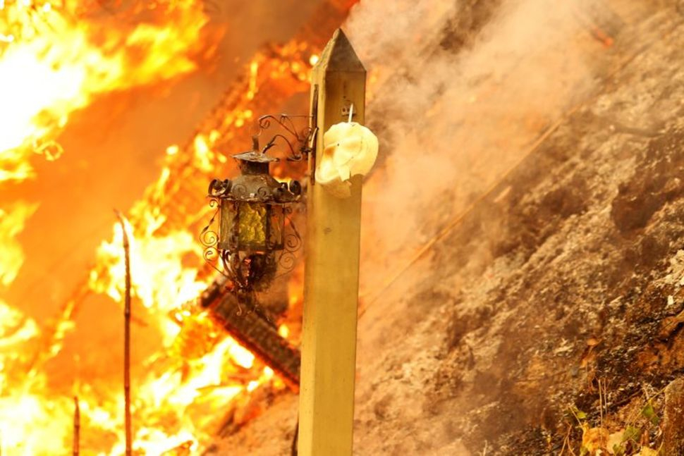 Cháy rừng lan nhanh hôm 27/9 đã bùng phát dữ dội ở vùng trồng nho Napa Valley ở tiểu bang California - Ảnh: Reuters
