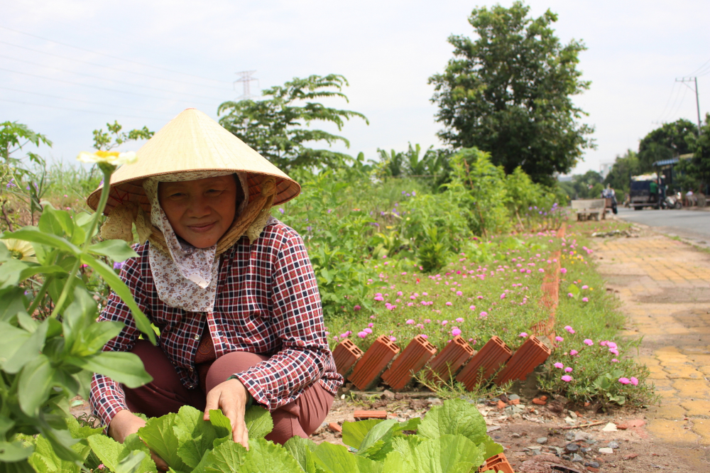 Học người dân ngoại thành “chuyển hóa” ô nhiễm bằng hoa 