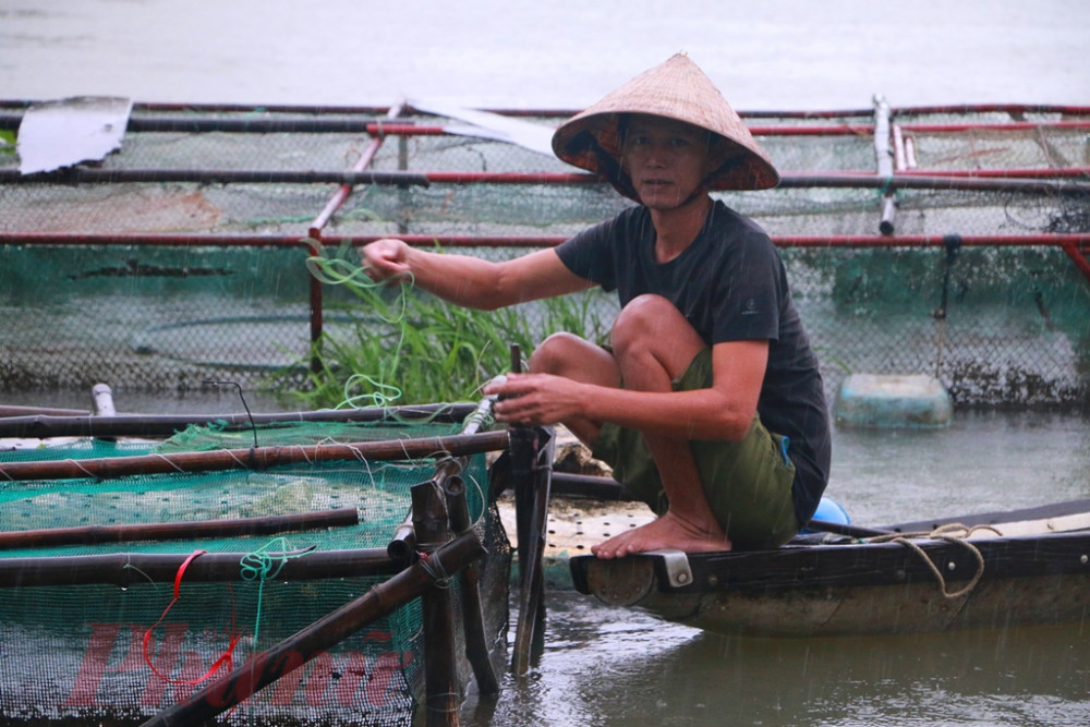 Có mặt tại  rốn lũ  thông Giáp Trung trong  Phóng viên Báo Phụ Nữ TP. Hồ Chí Minh nhận thấy người dân ở đây đây hối hả  buộc chặt các lồng cá bè đang nuôi trên sông Bồ để đón lũ mới