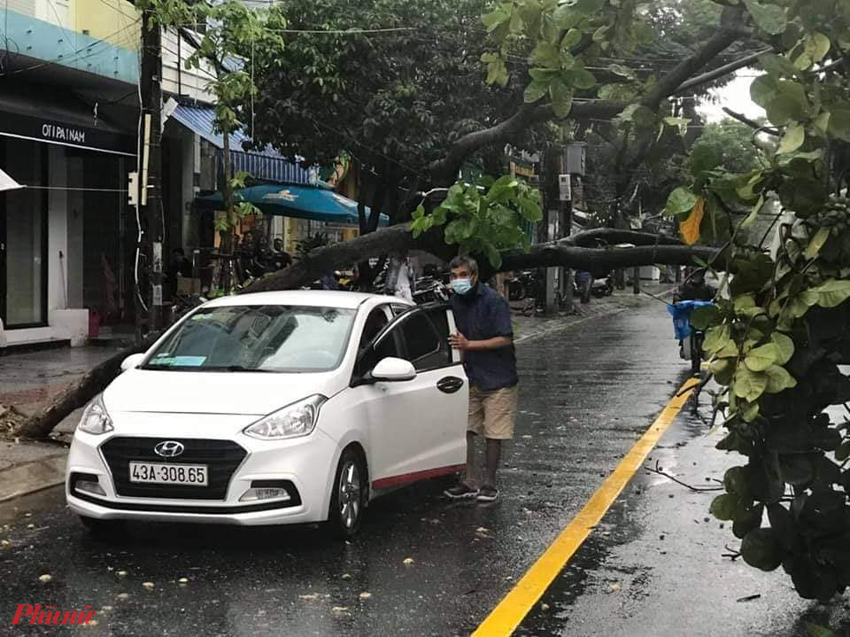 Mưa lớn kèm gió khiến cây đổ ở nội thành Đà Nẵng