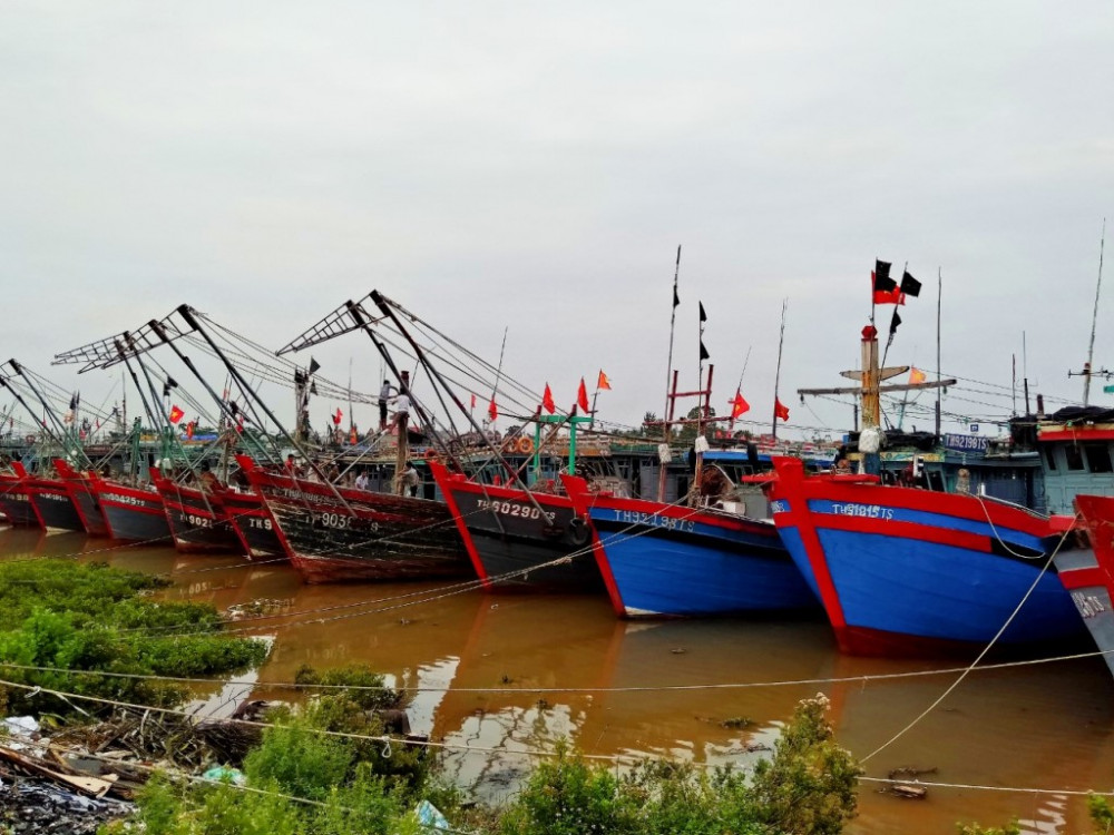 Tàu thuyền tại thị xã Nghi Sơn được neo đậu cẩn thận.