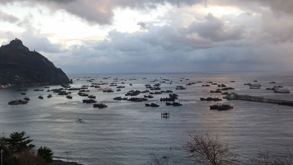Tàu đánh cá Trung Quốc thả neo tại vịnh đảo Ulleungdo trên Biển Nhật Bản, thuộc vùng biển Hàn Quốc tháng 10/2016 - Ảnh: Outlaw Ocean Project