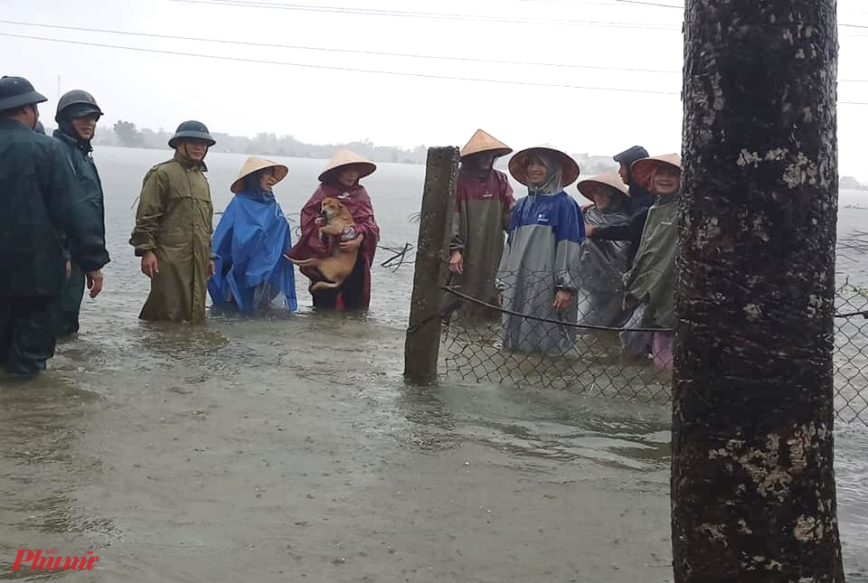 Mưa lớn khiến nhiều địa phương ở Hà Tĩnh ngập sâu,