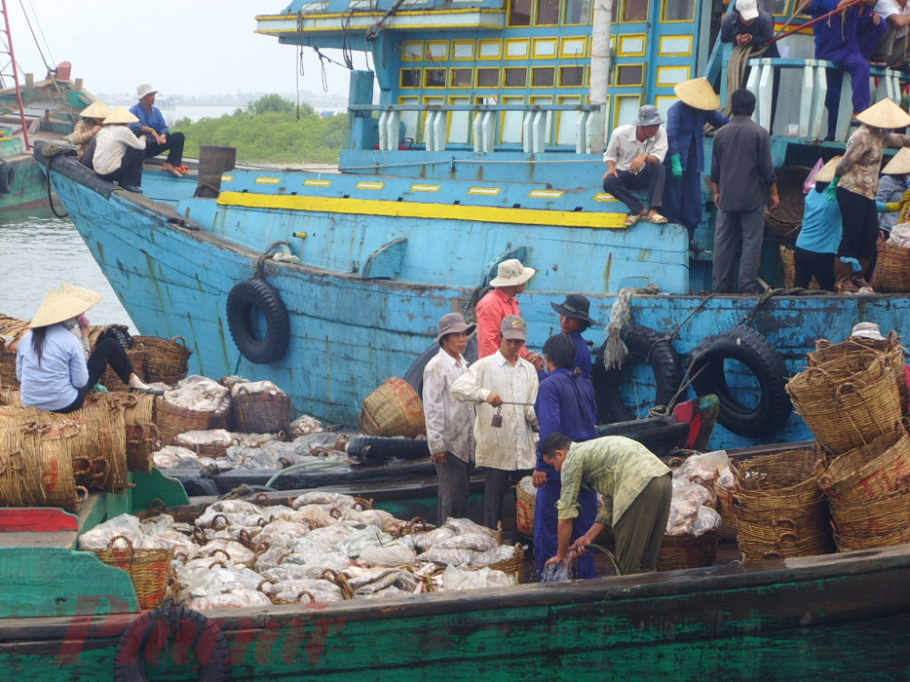 Nghề cá Việt Nam đang nỗ lực xoá bỏ thẻ vàng IUU bằng nhiều biện pháp thiết thực. (Ảnh minh hoạ)