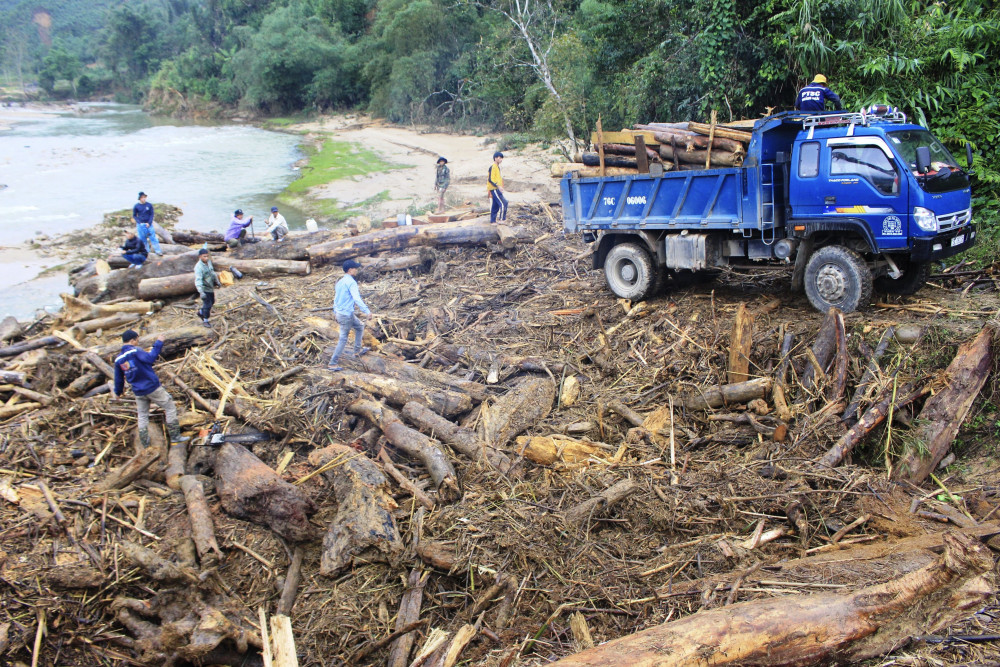  Hàng chục người ở huyện Sơn Tây được huy động để trục vớt hàng nghìn m3 gỗ bị trôi xuống sông