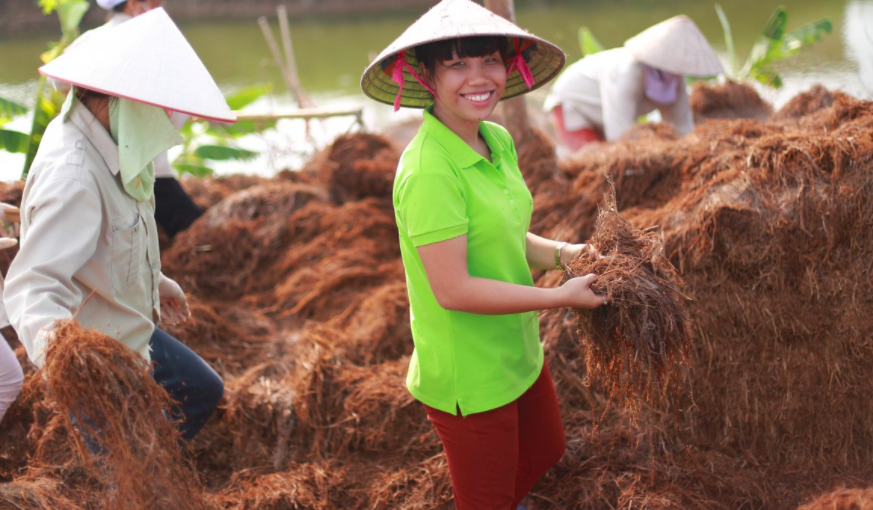 Trần Thị Khánh Trang thu hoạch rơm rạ ở miền Bắc Việt Nam. Ảnh: Sen Nguyễn