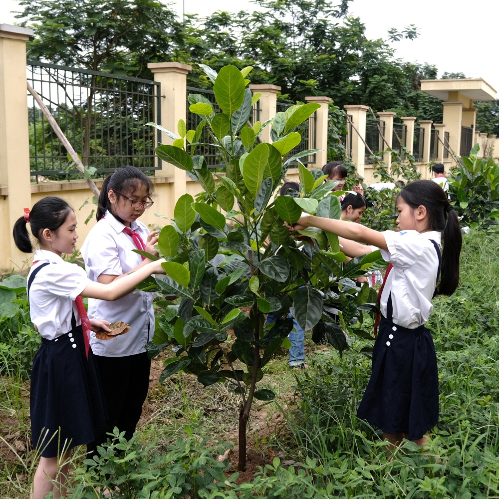 Trồng cây không chỉ để bảo vệ môi trường sống của chúng ta ngày hôm nay mà còn nhằm gìn giữ cho thế hệ tương lai. Ảnh: Vinamilk cung cấp