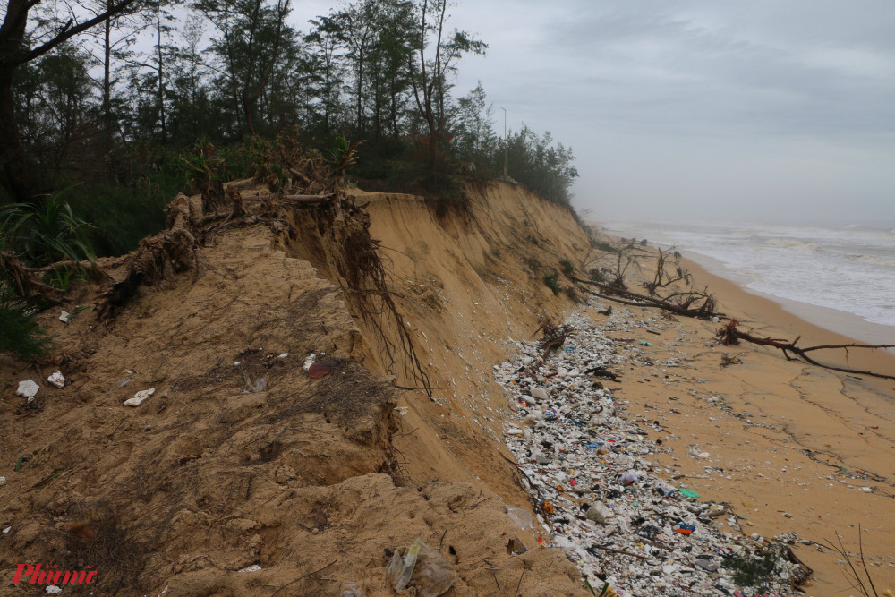 Bờ biển đaonj đi qua xã Phú Thuận ngày càng sạt lở nghiêm trọng
