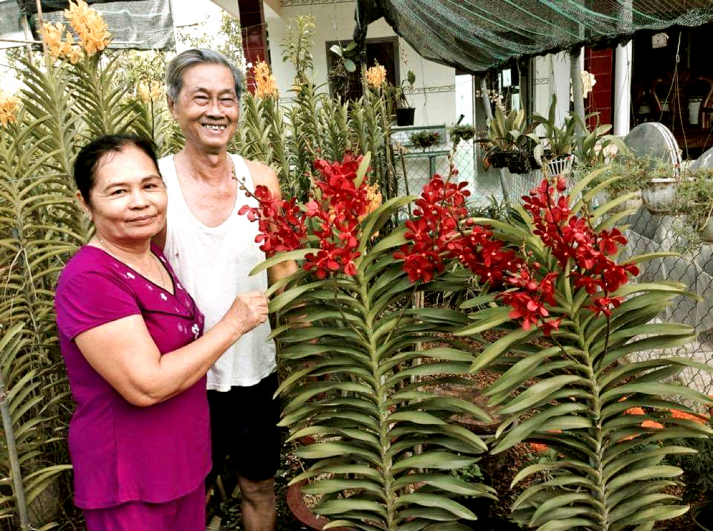 Nhà giáo Lê Đình Hoe cũng là người tiên phong trồng lan ở H.Củ Chi