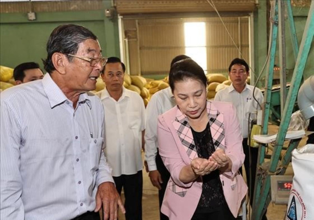 Chủ tịch Quốc hội Nguyễn Thị Kim Ngân tham quan dây chuyền sản xuất giống ST25 nổi tiếng