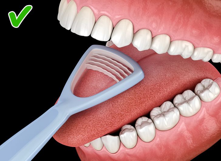 Lưỡi cũng cần được làm sạch thường xuyên như răng của bạn. Đặt một cái cạo ở phía sau lưỡi của bạn và từ từ đưa nó về phía trước với một chút áp lực. Nếu bạn cảm thấy muốn nôn, hãy tránh nó bằng cách điều chỉnh vị trí của dụng cụ cạo lưỡi thường xuyên nếu cần.