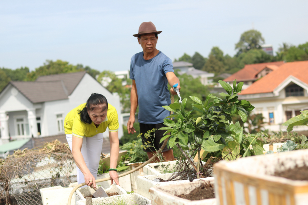 Vợ chồng bà Nghĩa tự ủ phân hữu cơ bón cho vườn rau mát xanh trên sân thượng. 
