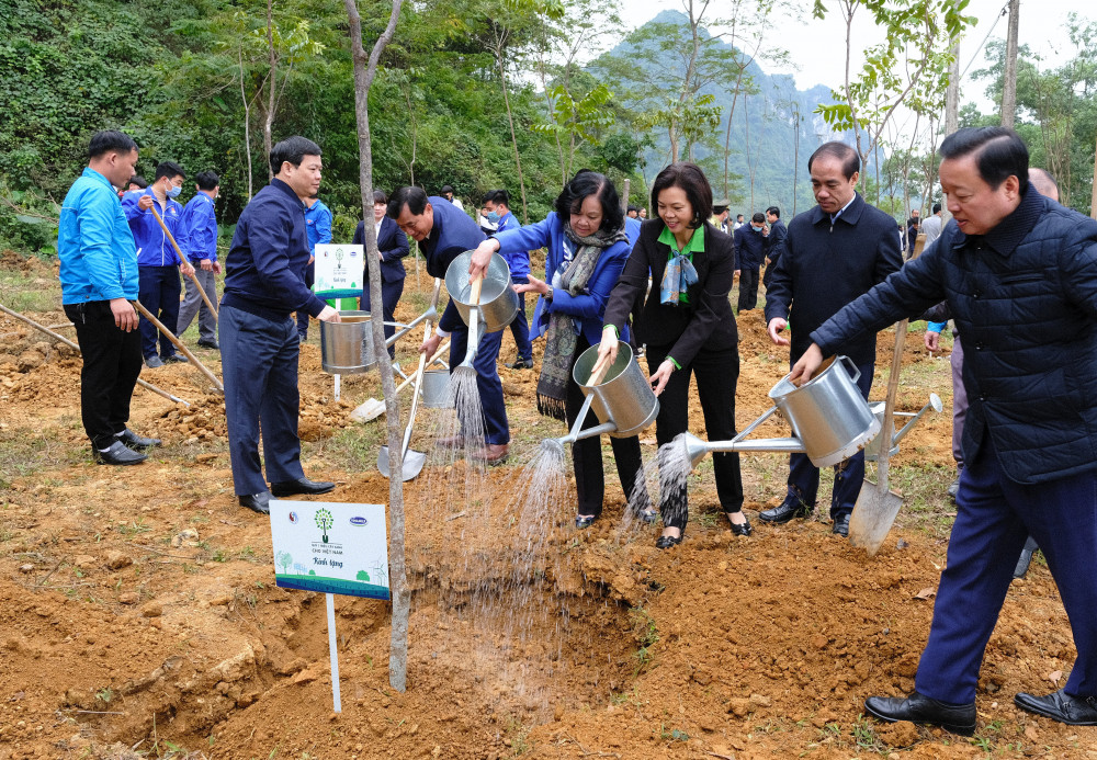 Các đại biểu và đoàn viên thanh niên, học sinh của tỉnh Tuyên Quang cùng nhau trồng cây tại khu vực Lán Hang Thia, Khu di tích lịch sử Tân Trào. Ảnh: Vinamilk