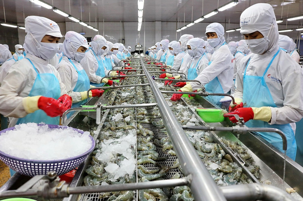 Năm 2020, mặt hàng tôm xuất khẩu Việt Nam vẫn ghi điểm dù tác động tiêu cực của dịch COVID-19. (Ảnh minh hoạ)