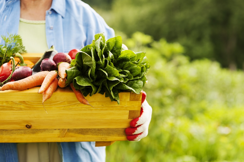 Thực phẩm organic đóng góp không nhỏ vào chế độ dinh dưỡng hợp lý và an toàn cho mẹ và bé