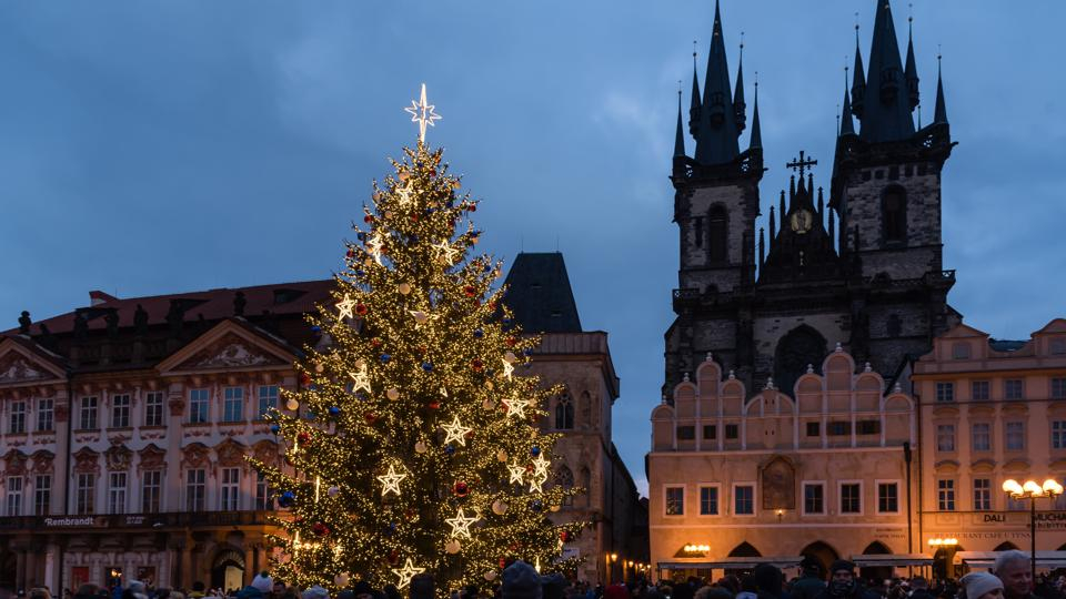 Cây thông Noel được chiếu sáng tại quảng trường Phố cổ ở Prague, Cộng hòa Séc