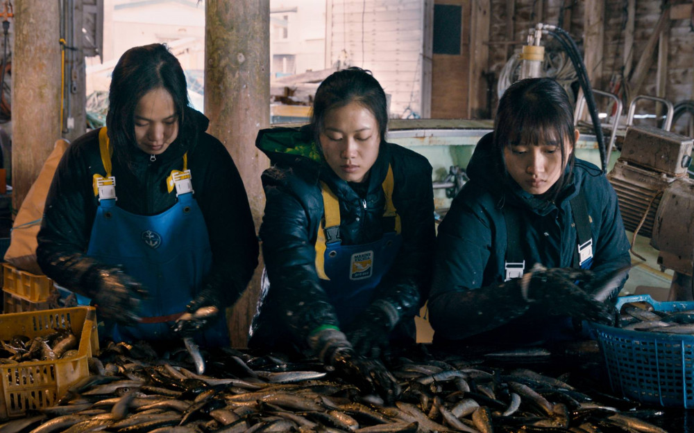 Hoàn cảnh khó khăn của ba người phụ nữ Việt Nam được mô tả trong Along the Sea.