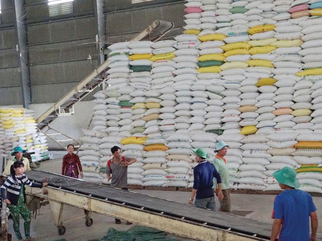 Dù giảm về lượng nhưng tăng vọt về giá giúp ngành gạo xuất khẩu có một năm thành công