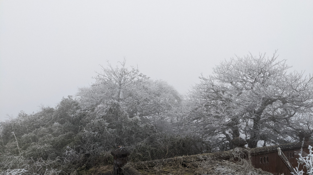 Khung cảnh mù mịt và băng tuyết đã thể hiện được nhiệt độ của đỉnh Mẫu Sơn đang xuống thấp đến mức nào..(Ảnh: Nông Đức Thọ)