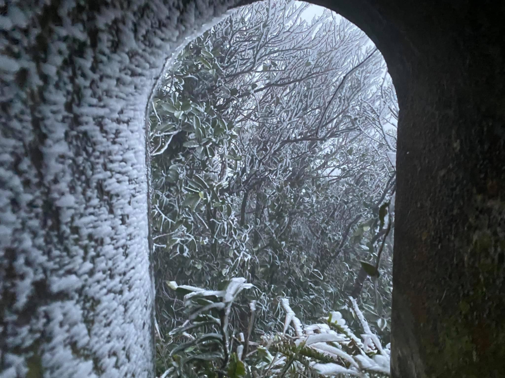 Các bức tường và cây cối đều bị bao phủ bởi băng tuyết trắng xóa.