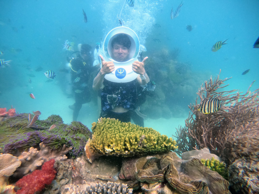 Ngoài ngắm nhìn vẻ đẹp của hàng trăm loài san hô, cá,... trong chương trình tour khách hàng có thể thuê thêm dịch vụ chụp ảnh dưới nước với giá từ 300