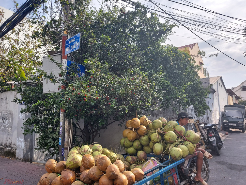 Bảng tên đường ở giao lộ Ngô Quyền - Nguyễn Trãi bị khuất trong bụi cây.